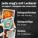 QCHEFS Ergänzungsfuttermittel ZAHNPUTZFLIPS Käsesnack 40g stoppt Mundgeruch Katze