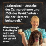 QCHEFS Ergänzungsfuttermittel GLÜCKSKISTE SCHLECKSCHÜSSEL gegen Zahnstein für Hunde