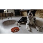 HOFMAN ANIMAL CARE Schleckmatte Eat Slow Live Longer CIRCLE 21cm für Hunde