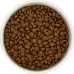 CRAZYPET® Trockenfutter Feinschmecker KITTEN TRUTHAHN HUHN getreidefrei für Katzenkinder