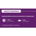 CRAZYPET® Trockenfutter Feinschmecker KITTEN TRUTHAHN HUHN getreidefrei für Katzenkinder