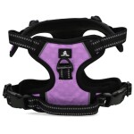 HOFMAN ANIMAL CARE Geschirr Spotted No Pull Lila...