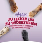 VOSKES Katzensnack AMUSE Liquid Treat mit Huhn grainfree 20 x 15g