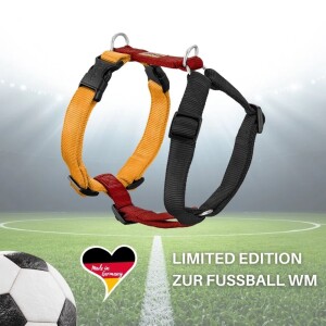 KOCH Hundegeschirr Premium NYLONGESCHIRR WM 2026 Limited Edition gepolstert