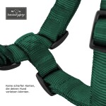 KOCH Hundegeschirr Premium NYLONGESCHIRR WM 2026 Limited Edition gepolstert