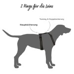 KOCH Hundegeschirr Premium NYLONGESCHIRR WM 2026 Limited Edition gepolstert