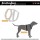 KOCH Hundegeschirr Premium NYLONGESCHIRR WM 2026 Limited Edition gepolstert