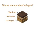 CRAZYPET® Hundekauartikel COLLAGEN STICK XL große Rassen ca. 30cm 1 Stück