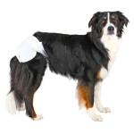 TRIXIE Hundewindeln Hündinnenwindeln bei Inkontinenz...