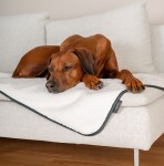 TRENDPET Hundedecke PEARL wasserdichte Membran waschbar anthrazit/beige Oeko-Tex