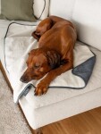 TRENDPET Hundedecke PEARL wasserdichte Membran waschbar anthrazit/beige Oeko-Tex