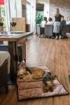 TRENDPET Hundedecke MEINE RESTAURANTDECKE zusammenfaltbar waschbar Altrosa