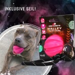 HOFMAN ANIMAL CARE Spielzeug Dog Comets Halley Rosa Ball 6cm Naturkautschuk für Hunde
