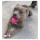 HOFMAN ANIMAL CARE Spielzeug Dog Comets Halley Rosa Ball 6cm Naturkautschuk für Hunde