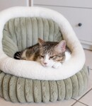 TRENDPET Bett YUKI Grün Breitcord-Optik extradick hochflorig für kleine Hunde und Katzen