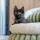 TRENDPET Bett YUKI Grün Breitcord-Optik extradick hochflorig für kleine Hunde und Katzen