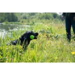 HOFMAN ANIMAL CARE Hundespielzeug Dog Comets METEOR Wurfstock Gummi Grün Squeeker