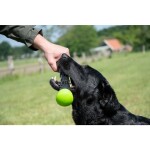 HOFMAN ANIMAL CARE Hundespielzeug Dog Comets METEOR Wurfstock Gummi Grün Squeeker