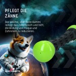 HOFMAN ANIMAL CARE Hundespielzeug Dog Comets METEOR Wurfstock Gummi Grün Squeeker
