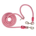 MAX & MOLLY Hundeleine Tauleine Matrix 2.0 Nylon verstellbar gebürstetes Metall 2m oder 3m