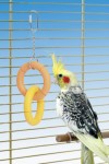 KARLIE Spielzeug BOOMER BIRD SWING Doppelring für...