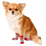KARLIE Hundesocken DOGGY SOCKS AntiSlip rot-grau S (45mm/35mm)