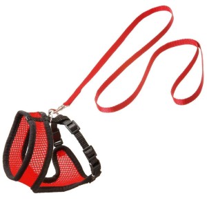 KARLIE Katzengeschirr HARMS Kopfumfang 30cm rot/schwarz