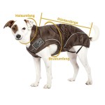 DOGBITE Hunderegenjacke FLEXIBLE SYSTEM Schwarz Mantel für Hunde