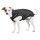 DOGBITE Hunderegenjacke FLEXIBLE SYSTEM Schwarz Mantel für Hunde