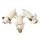 KARLIE Naturspielzeug Nature Dog TOY Plus LUFFA für Hunde 32cm
