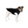 KARLIE Strickpullover LUCKY schwarz verschiedene Größen für Hunde