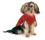 KARLIE Strickpullover LUCKY rot-schwarz verschiedene...