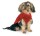 KARLIE Strickpullover LUCKY rot-schwarz verschiedene Größen für Hunde