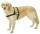 KARLIE Hundegeschirr ART SPORTIV Plus DOGGY TALK schwarz
