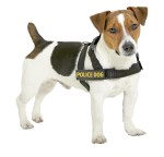 KARLIE Aufschriften DOGGY TALK Slogans für...