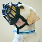 COMPANY OF ANIMALS Maulkorb BASKERVILLE Ultra Muzzle...