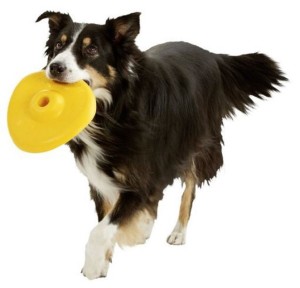 KARLIE Spielzeug SOFT FRISBEE Ufo 22cm für Hunde