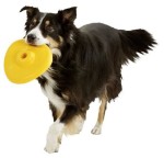 KARLIE Spielzeug SOFT FRISBEE Ufo 22cm für Hunde