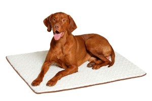 KARLIE Gesundheitsbett ORTHO MATTE Memory Foam für Hunde & Katzen 80x50cm