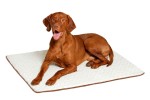 KARLIE Gesundheitsbett ORTHO MATTE Memory Foam für...
