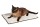 KARLIE Gesundheitsbett ORTHO MATTE Memory Foam für Hunde & Katzen 80x50cm