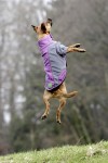 KARLIE TOUCHDOG Hundemantel OUTDOOR FLEECE grün-grau für Hündinnen und Rüden