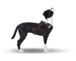 CURLI Brustgeschirr Plush Vest AIR-MESH brown für Hunde
