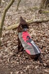 KARLIE TOUCHDOG Hundemantel OUTDOOR 2in1 ROT Gr. M (36cm-45cm-31cm)