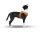 CURLI Brustgeschirr Plush Vest AIR-MESH orange für Hunde