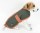 KARLIE Hundemantel SAFETY COAT Sicherheitsmantel GRÜN/ORANGE verschiedene Größen