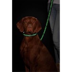 KARLIE Nylonleine ART SPORTIV TATTOO 100cm fluoreszierend für Hunde