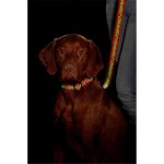 KARLIE Nylonleine ART SPORTIV TATTOO 100cm fluoreszierend für Hunde