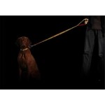 KARLIE Nylonleine ART SPORTIV TATTOO 100cm fluoreszierend für Hunde