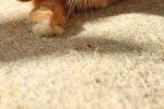 HUGRO Naturhanfmatte NAGERFLOOR 100% Hanffasern für Kleintiere